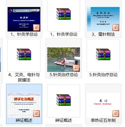 中醫智慧，本草華章 最新中醫學與中藥學精品課件資源概覽